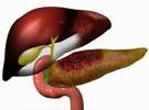 Đau bụng cấp - Một dấu hiệu thường gặp củ nhiều loại bệnh